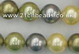 CSB380 15.5 inches 14mm round mixed color shell pearl beads