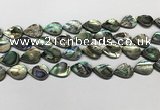 CSB4137 15.5 inches 12*16mm flat teardrop abalone shell beads