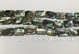 CSB4155 15.5 inches 13*18mm rectangle abalone shell beads wholesale
