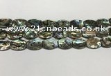 CSB4161 15.5 inches 12*16mm flat drum abalone shell beads wholesale