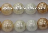 CSB624 15.5 inches 14mm whorl round mixed color shell pearl beads