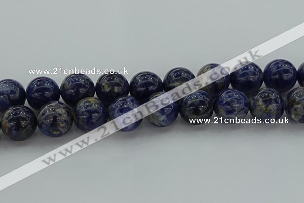 CSO639 15.5 inches 20mm round sodalite gemstone beads wholesale