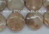 CSS239 15.5 inches 20mm flat round natural sunstone beads