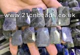 CTD2105 Top drilled 20*28mm - 22*32mm faceted freeform labradorite beads
