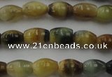 CTE1551 15.5 inches 5*8mm rice golden & blue tiger eye beads wholesale