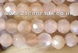 CTG1502 15.5 inches 3mm faceted round moonstone beads wholesale