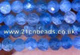CTG1613 15.5 inches 3mm faceted round tiny apatite beads