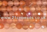 CTG2142 15 inches 2mm,3mm faceted round golden sunstone beads