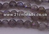 CTG509 15.5 inches 4mm faceted round tiny labradorite beads