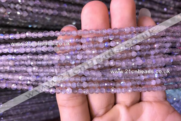 CTG702 15.5 inches 4mm faceted round tiny labradorite beads