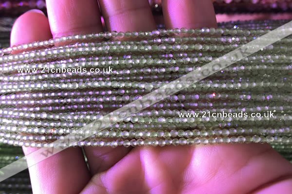 CTG743 15.5 inches 2mm faceted round tiny prehnite beads
