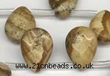 CTR669 Top drilled 10*14mm faceted briolette picture jasper beads