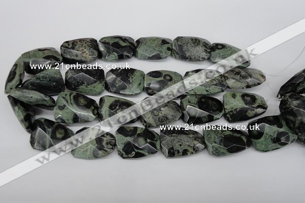 CTW419 15.5 inches 22*30mm faceted & twisted kambaba jasper beads