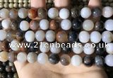 CWJ571 15.5 inches 10mm round Arizona petrified wood jasper beads