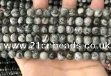 CZJ411 15.5 inches 6mm round green zebra jasper beads wholesale