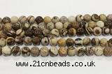 CZJ424 15.5 inches 12mm round Australian zebra jasper beads wholesale