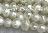 FWP11 14.5 inches 2.8mm potato white freshwater pearl strands