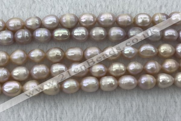 FWP197 15 inches 7mm - 8mm rice purple freshwater pearl strands