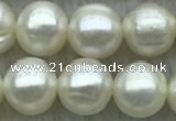 FWP72 15 inches 7mm - 8mm potato white freshwater pearl strands