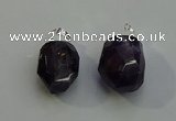 NGP6017 18*30mm - 22*35mm freeform amethyst pendants