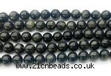 CAE323 15.5 inches 10mm round astrophyllite gemstone beads