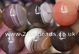 CAA1253 15.5 inches 10mm round Botswana agate beads wholesale