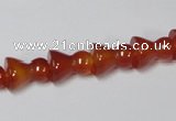 CAA145 15.5 inches 9*12mm bell shape red agate gemstone beads