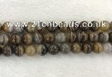 CAA1826 15.5 inches 16mm round banded agate gemstone beads