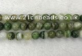 CAA1986 15.5 inches 16mm round banded agate gemstone beads