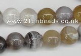 CAA226 15.5 inches 12mm round botswana agate gemstone beads