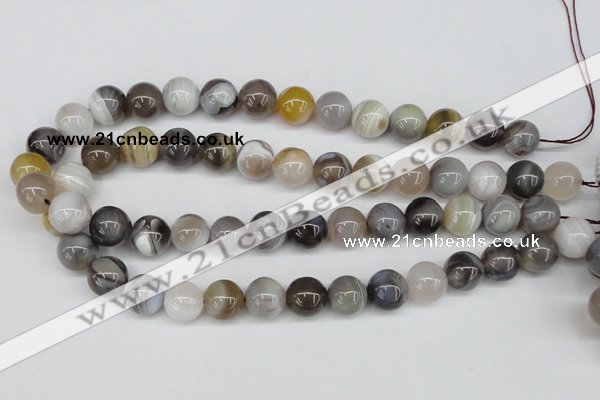 CAA227 15.5 inches 14mm round botswana agate gemstone beads