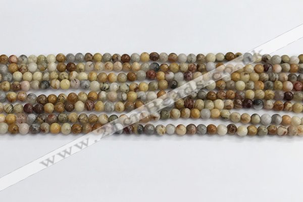 CAA2348 15.5 inches 4mm round crazy lace agate beads wholesale