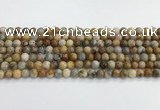 CAA2349 15.5 inches 6mm round crazy lace agate beads wholesale