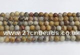 CAA2350 15.5 inches 8mm round crazy lace agate beads wholesale