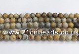 CAA2351 15.5 inches 10mm round crazy lace agate beads wholesale