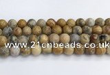 CAA2353 15.5 inches 14mm round crazy lace agate beads wholesale