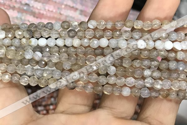 CAA3274 15 inches 4mm faceted round agate beads wholesale