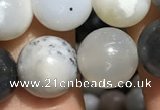 CAA3577 15.5 inches 8mm round parral dendrite agate beads