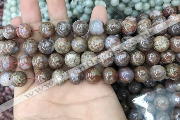 CAA3636 15.5 inches 4mm round flower agate beads wholesale