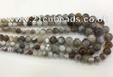 CAA3700 15.5 inches 6mm - 13mm round Botswana agate graduated beads