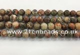 CAA3702 15.5 inches 12mm round rainforest agate beads wholesale