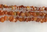 CAA3806 15.5 inches 4*6mm - 8*10mm chips red agate beads wholesale