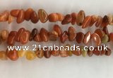 CAA3807 15.5 inches 8*12mm - 10*14mm chips red agate beads wholesale