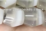 CAA3951 15.5 inches 12*12mm Madagascar agate beads wholesale