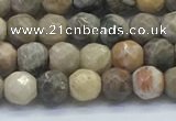 CAA3960 15.5 inches 4mm faceted round chrysanthemum agate beads