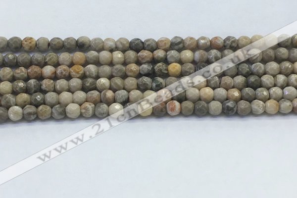 CAA3960 15.5 inches 4mm faceted round chrysanthemum agate beads