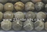 CAA3961 15.5 inches 6mm faceted round chrysanthemum agate beads