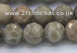 CAA3962 15.5 inches 8mm faceted round chrysanthemum agate beads