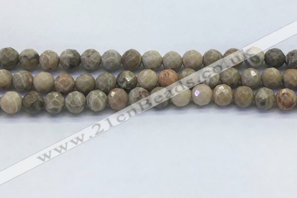 CAA3962 15.5 inches 8mm faceted round chrysanthemum agate beads