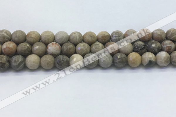 CAA3963 15.5 inches 10mm faceted round chrysanthemum agate beads